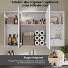 DICTAC Armoire de Toilette Miroir avec éclairage LED et Prise Meuble Salle de Bain avec Rangement et Étagère Réglable