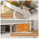 DICTAC Canapé Lit avec Rangement Éclairage LED et Prise Lit Double 2 Places avec 4 Compartiments et 2 Tiroirs