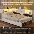 DICTAC Canapé Lit avec Rangement Éclairage LED et Prise Lit Double 2 Places avec 4 Compartiments et 2 Tiroirs
