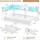 DICTAC Canapé Lit avec Rangement Éclairage LED et Prise Lit Double 2 Places avec 4 Compartiments et 2 Tiroirs