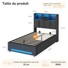 DICTAC Lit Coffre Entièrement Rembourré Gris avec Rangement Sommier Relevable à Vérin Tête de lit LED Prises USB Type C
