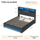 DICTAC Lit Coffre Entièrement Rembourré Gris avec Rangement Sommier Relevable à Vérin Tête de lit LED Prises USB Type C