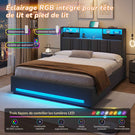 DICTAC Lit Coffre Entièrement Rembourré Gris avec Rangement Sommier Relevable à Vérin Tête de lit LED Prises USB Type C