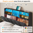 DICTAC Lit Coffre Entièrement Rembourré Gris avec Rangement Sommier Relevable à Vérin Tête de lit LED Prises USB Type C