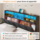 DICTAC Lit Coffre Entièrement Rembourré Gris avec Rangement Sommier Relevable à Vérin Tête de lit LED Prises USB Type C
