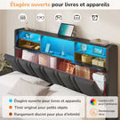 DICTAC Lit Coffre Entièrement Rembourré Gris avec Rangement Sommier Relevable à Vérin Tête de lit LED Prises USB Type C