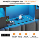 DICTAC Lit Coffre Entièrement Rembourré Gris avec Rangement Sommier Relevable à Vérin Tête de lit LED Prises USB Type C