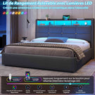 DICTAC Lit Coffre avec Sommier Lumières LED et Prise Cadre de Lit avec Rangement lit 2 Personnes avec Tete de Lits