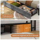 DICTAC Canapé Lit avec éclairage LED et Prise Lits avec sommier en Métal lit Banquette avec 5 Compartiments Rangement