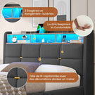 DICTAC Lit Coffre avec Sommier Lumières LED et Prise Cadre de Lit avec Rangement lit 2 Personnes avec Tete de Lits
