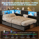 DICTAC Canapé Lit avec éclairage LED et Prise Lits avec sommier en Métal lit Banquette avec 5 Compartiments Rangement