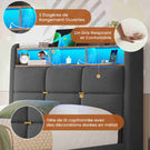 DICTAC Lit Coffre avec Sommier Lumières LED et Prise Cadre de Lit avec Rangement lit 2 Personnes avec Tete de Lits