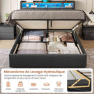 DICTAC Lit Coffre avec Sommier Lumières LED et Prise Cadre de Lit avec Rangement lit 2 Personnes avec Tete de Lits
