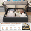 DICTAC Lit Coffre avec Sommier Lumières LED et Prise Cadre de Lit avec Rangement lit 2 Personnes avec Tete de Lits