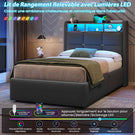 DICTAC Lit Coffre avec Sommier Lumières LED et Prise Cadre de Lit avec Rangement lit 2 Personnes avec Tete de Lits