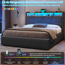 DICTAC Lit Coffre avec Sommier Lumières LED et Prise Cadre de Lit avec Rangement lit 2 Personnes avec Tete de Lits