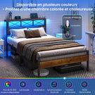 DICTAC Cadre de Lit Métal Lit avec Tête de Lit LED RGB 2 Prises AC 2 Ports USB A  C Étagères de Rangement Style Industriel