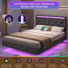 DICTAC Lit avec sommier LED Réglable Lits 2 Places avec Rembourré Tête de Lit Cadre de Lits avec Lattes en Bois et Multiprise