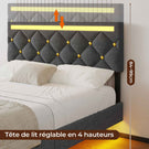 DICTAC Lit avec sommier LED Réglable Lits 2 Places avec Rembourré Tête de Lit Cadre de Lits avec Lattes en Bois et Multiprise